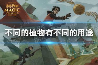 不同的植物有不同的用途哈利波特 拼图寻宝第五期第一天