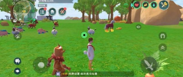攻略网5