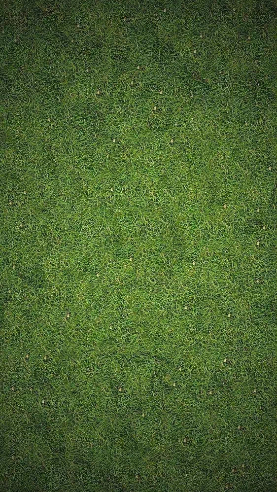 攻略网12