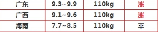 攻略网4