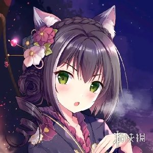 攻略网4