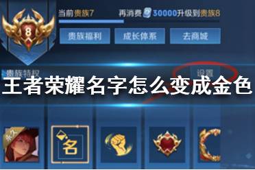 《王者荣耀》名字怎么变成金色 金色名字怎么打