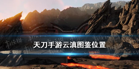攻略网1