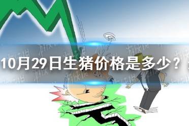 11月1日生猪价格是多少 11.1猪肉价格一览表