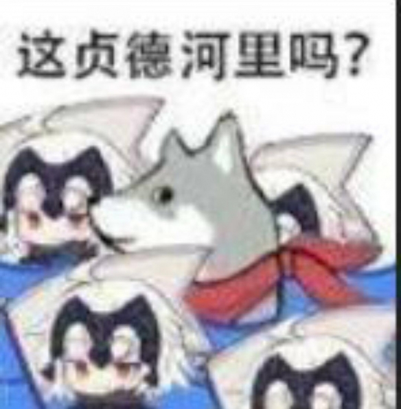 攻略网6