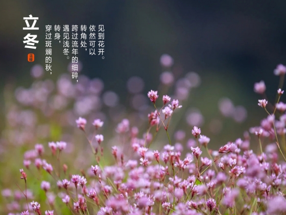 攻略网4