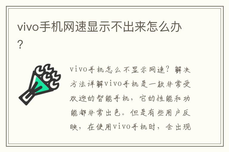 vivo手机网速显示不出来怎么办？
