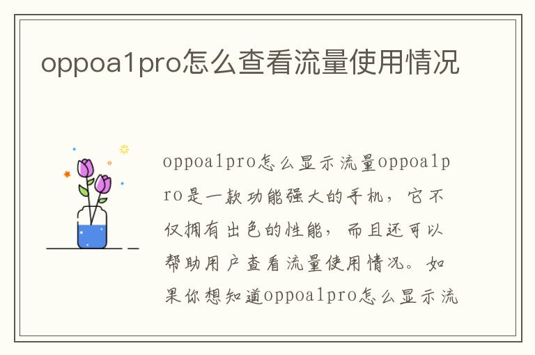 oppoa1pro怎么查看流量使用情况