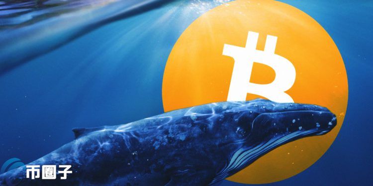 比特币交易所巨鲸比率飙破90% CryptoQuant警告：勿开高杠杆