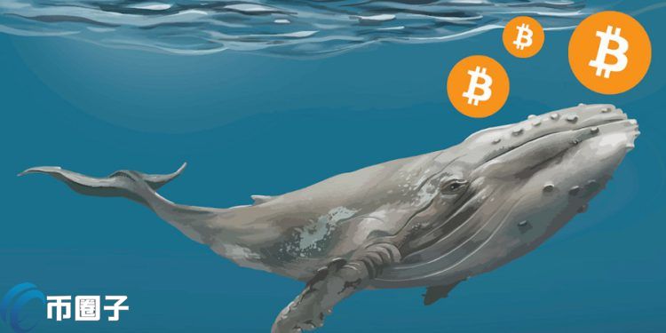 大鲸鱼：4亿美元比特币从不明钱包转入Coinbase 手续费仅3.6美元