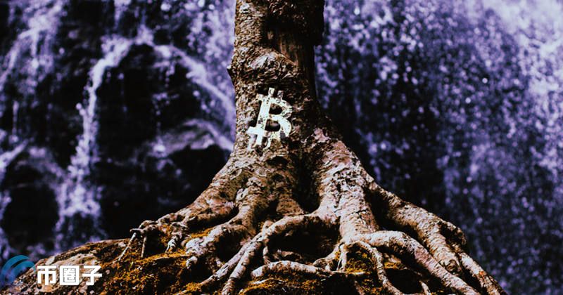 比特币升级：软分叉Taproot 完成测试网部署 节点支持率达28.26%