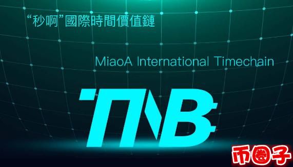tnb币交易平台,tnb币官网介绍